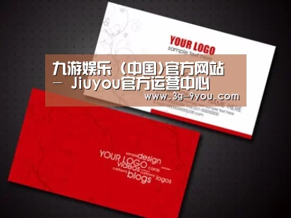 项目名称八