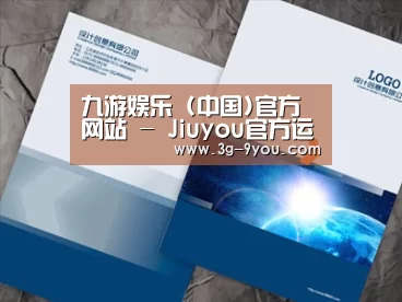 项目名称十