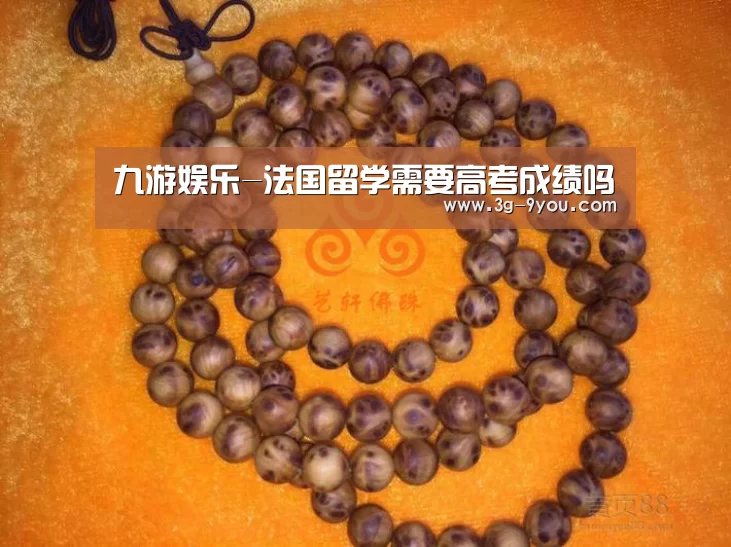 九游娱乐-法国留学需要高考成绩吗(图1) 九游娱乐